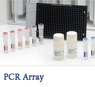 PCR Array